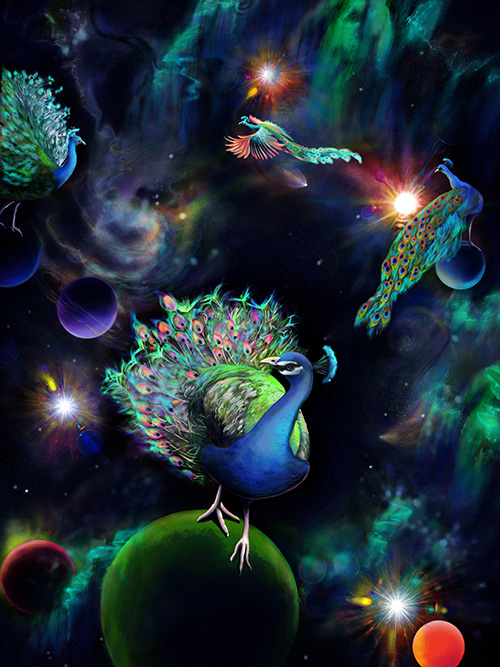 PEACOCKS IN THE SPACE